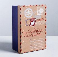 Подарочная коробка «Новогодняя посылка», 24 × 15.5 × 9.5 см